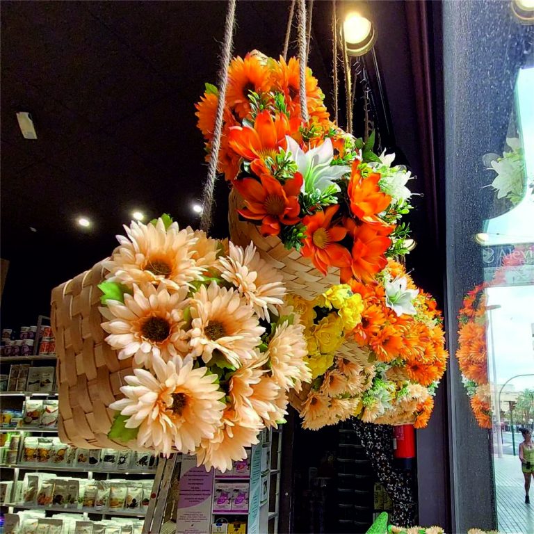 Escaparate de Otoño Herbolario CUIDATE / Elche